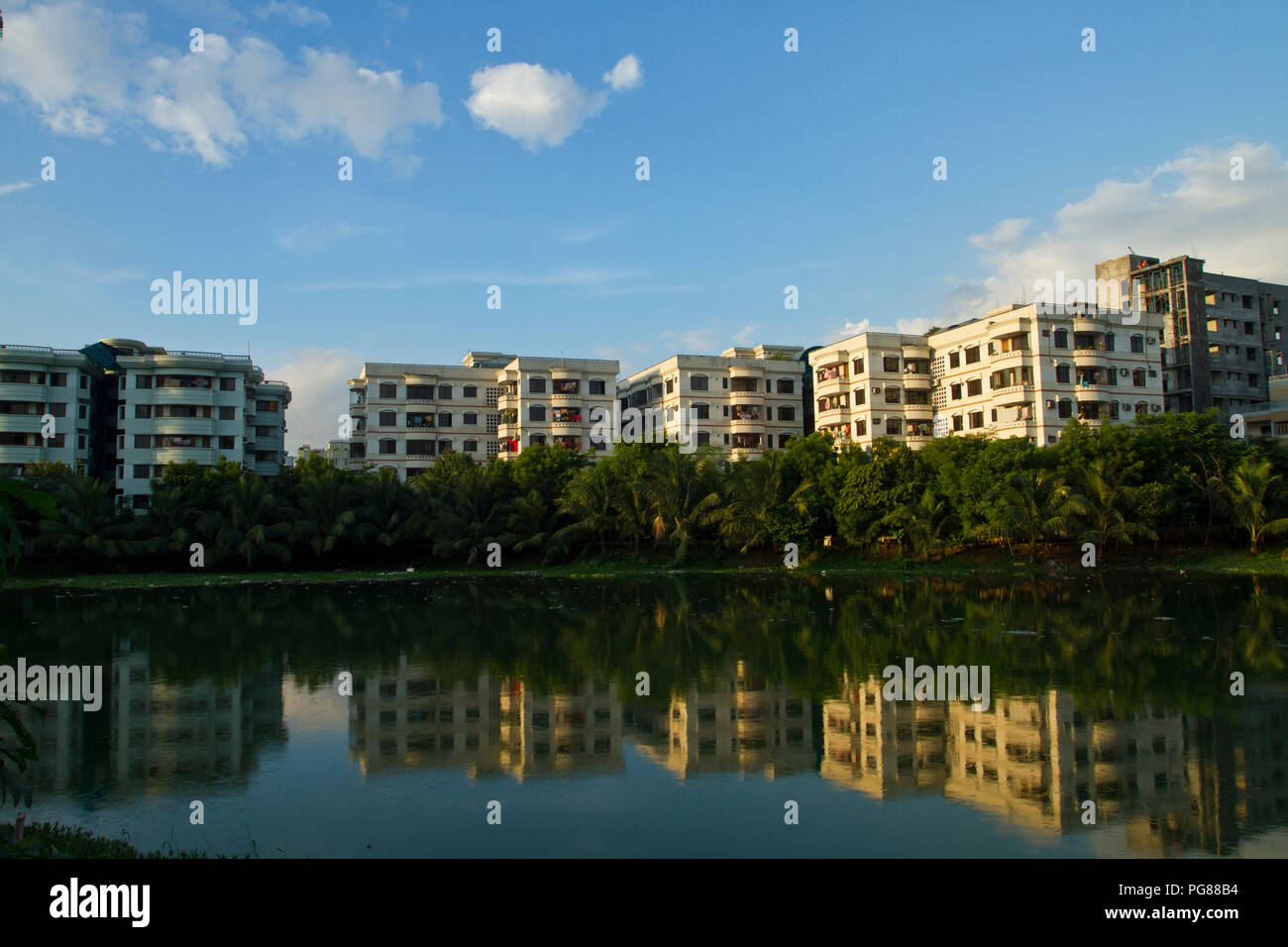 Green Image Lake View